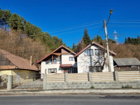 Casa Tucan Toplita